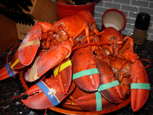Pile of Lobsters