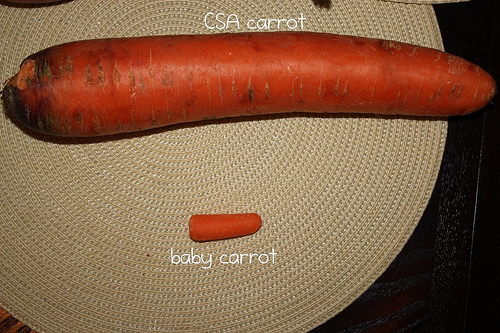 carrot compare