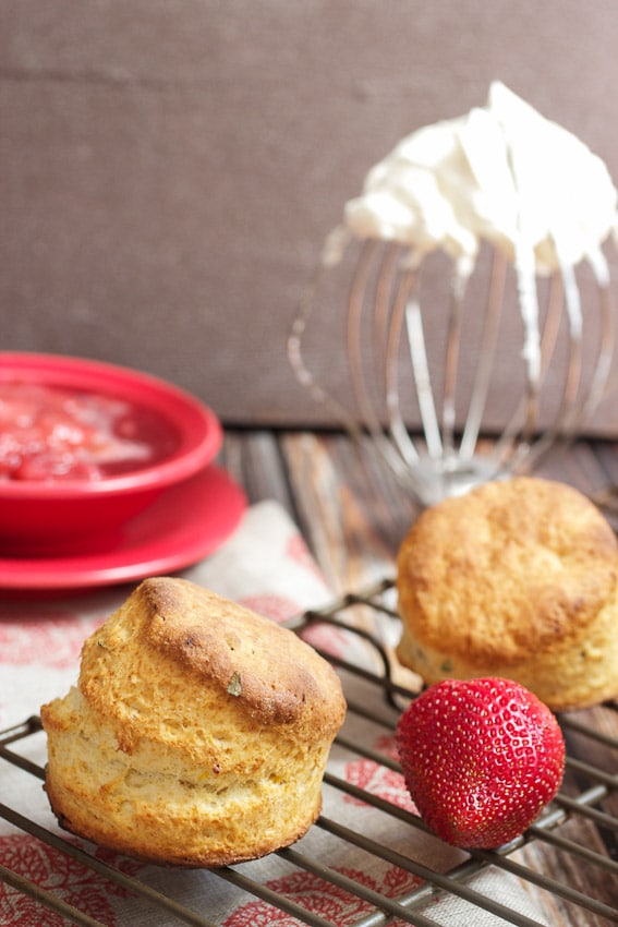 Strawberry Thyme Shortcake from The Girl In The Little Red Kitchen