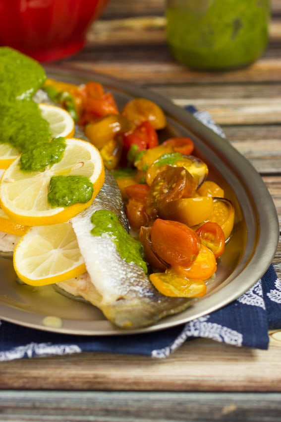 Roasted Branzino and Tomatoes with Lemon Basil Sauce - The Girl In The Little Red Kitchen