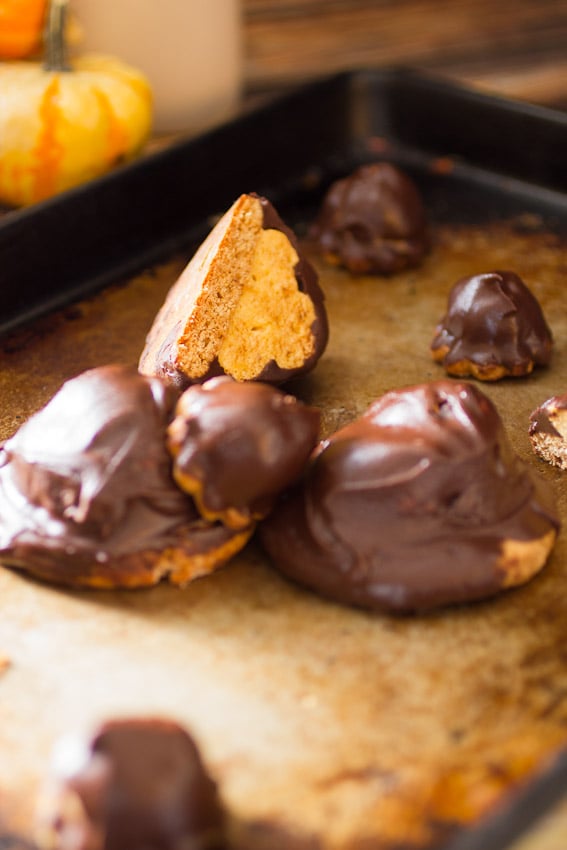 Pumpkin Mallomars from The Girl In The Little Red Kitchen