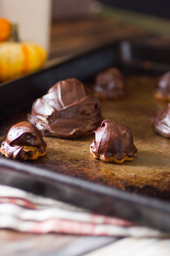 Pumpkin Mallomars #CookieWeek from The Girl In The Little Red Kitchen