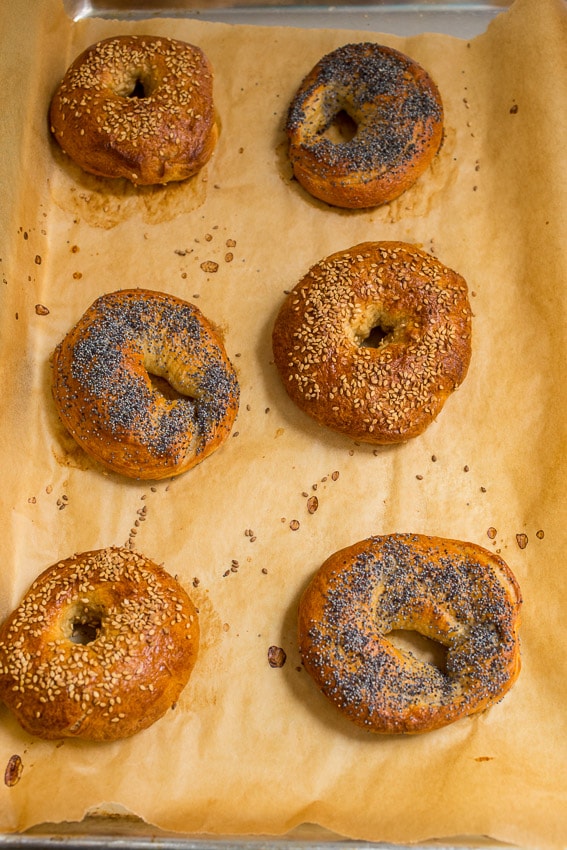 New York Bagels | The Girl In The Little Red Kitchen